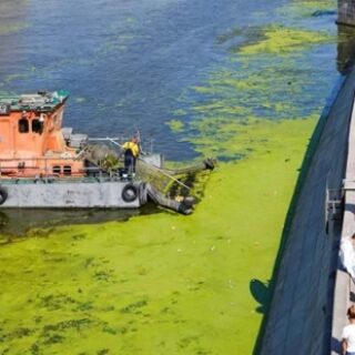 b967f4036d3b591380994c44d8bf457b