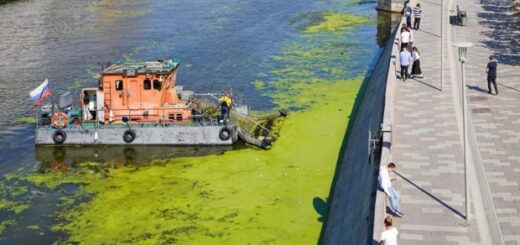 b967f4036d3b591380994c44d8bf457b