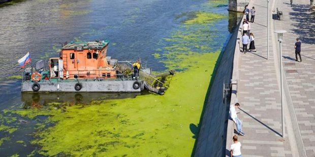 b967f4036d3b591380994c44d8bf457b