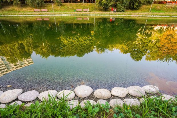 На юге столицы привели в порядок Изютинский пруд 3 d0fee8a822329285f757a429ca908bff