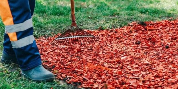 037b7f409ce8734b0e001dfbd9cebfdc