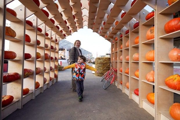 Сергей Собянин подвел итоги фестиваля «Золотая осень» в Москве 17 057a2ff712f45781478b72b70b8ed45d