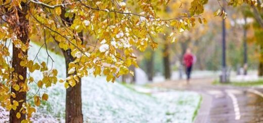 0a2f9752373a8eb53a2558c5e23759f5