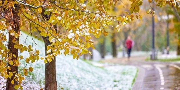 0a2f9752373a8eb53a2558c5e23759f5