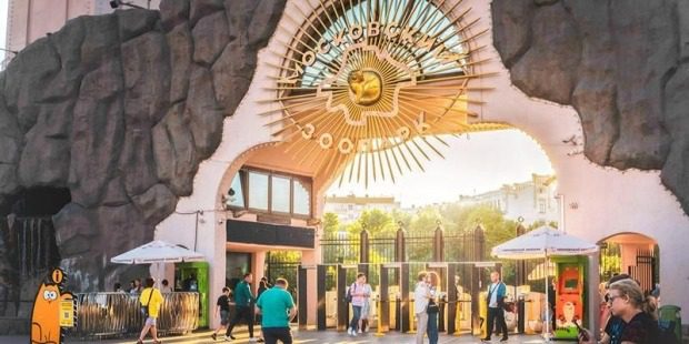 123914c9c9951db91f95ff36c130feb5