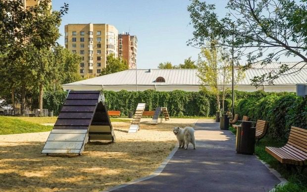 22fc8a6d072260c4d6e584335cd7a91b