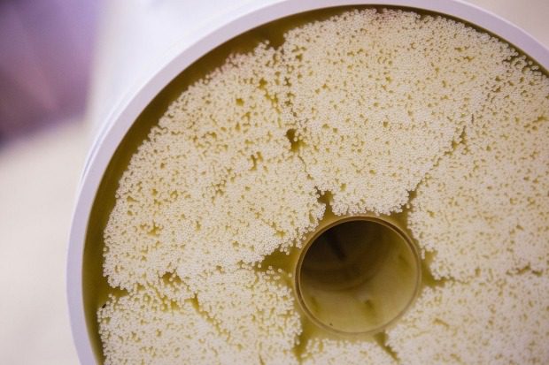 2cb0879cd07139baff28eb5f1ee692ee