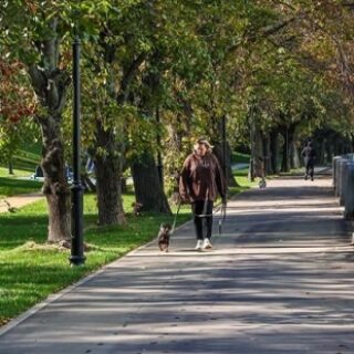 5723f403b1c1d264b1266d8e4e5211c7