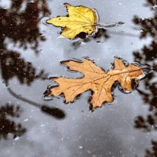 75fc331f0f55f48ce42c0d209ae83606