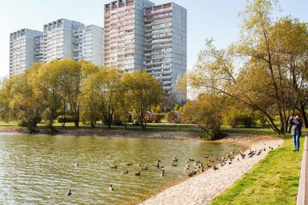 В Зеленограде привели в порядок Школьное озеро 6 90ff029d7d618c1dbb8999e6a2425032