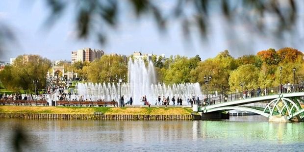 b3a8ea3a216b7035eb639512ee3a10ee