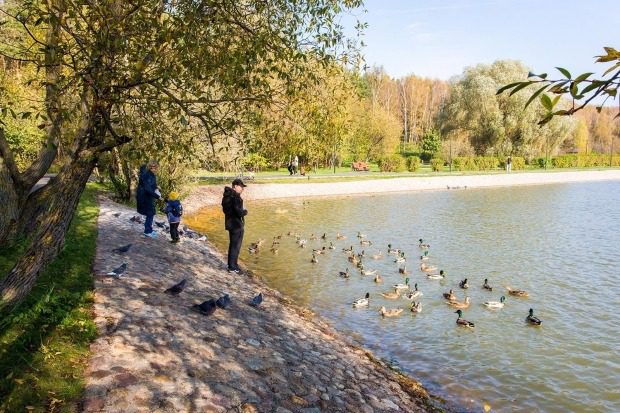 В Зеленограде привели в порядок Школьное озеро 4 b6776415375d323feb1a7765600eb21e