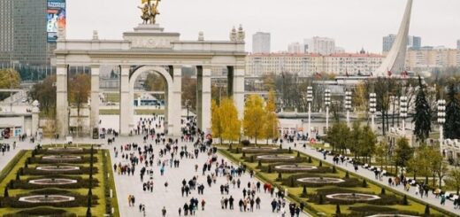 ed0fa907197e244e4be14d058dd76785