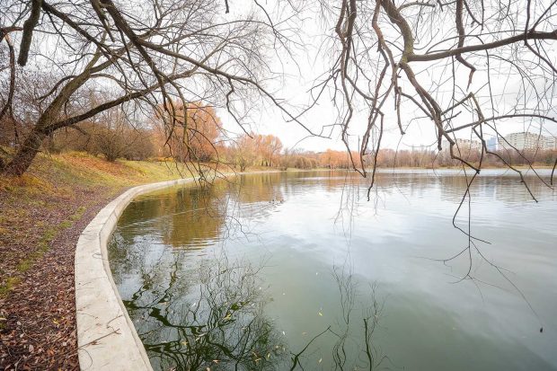 На западе столицы привели в порядок Мосфильмовский пруд 2 c23320a766df591e6f809ab96d09e5e8