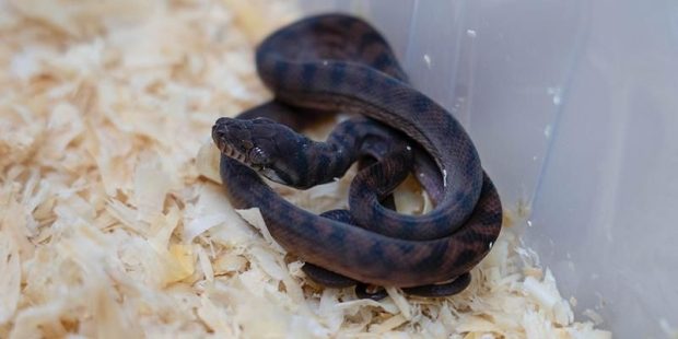 f29de99c804b91400be25c8a1f14bd21