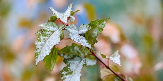 f9d50949e7d4396cfc1db8303a3bd7f9