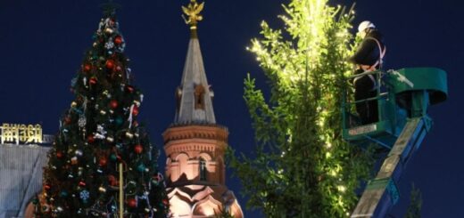 0c359bbaff396e19c2ff504241f1cd55