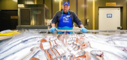 57ddbf61b7ed2cb90f9cb7988d4bb4bf