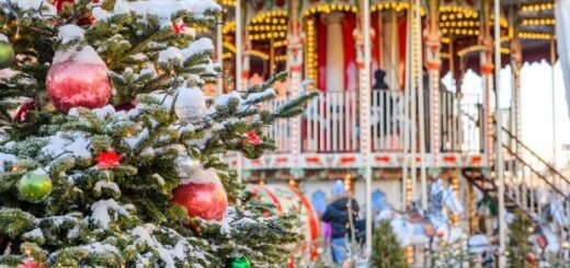 65dd680bec7cd8a01860098cea8ebb44