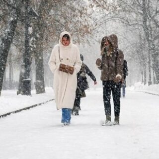 77ba39ff99ff714a1486438e7daeab62