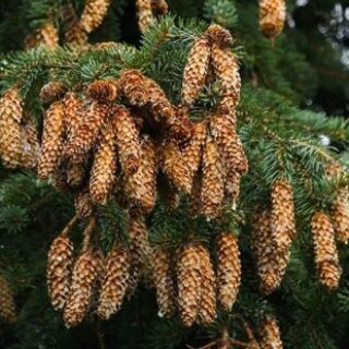 9569413fcf15736d778e4413f6a072bb