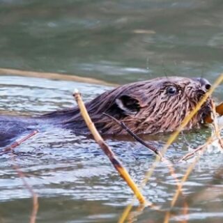 13d2caf878bafc7ec962816e25d6fbb8