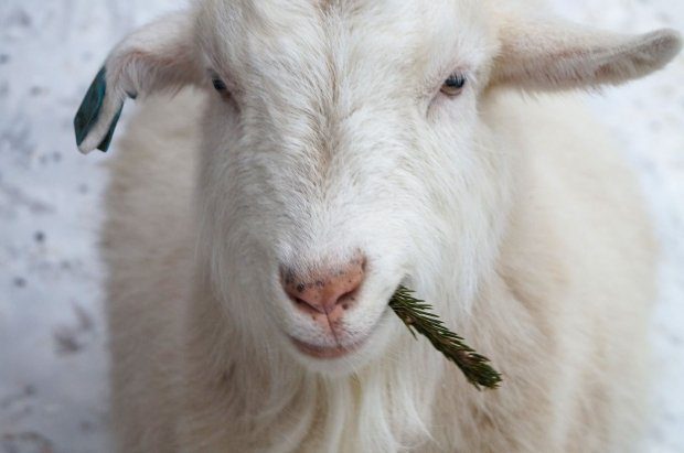 405e4d025b61d85d8e04e2e33d4f5abb