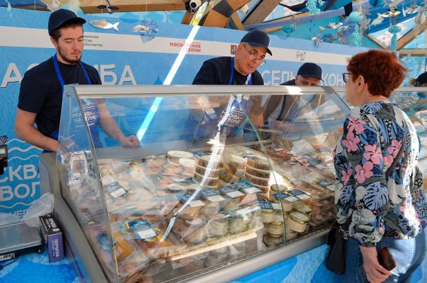 40e3e281b0028be849cd1f799ed3108d