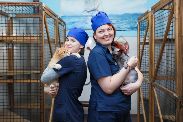 4a1ce5a8c17db16b23318e111ec41bcf