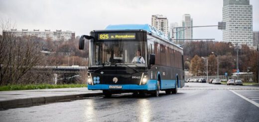 697ecd8827d81e359012c7cb18c050cd