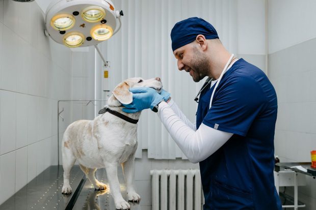 6b41679d8b0ef52a9715cb9389be771f