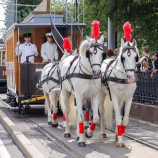 7e4701a4ef41d1b6c92e4c54c35c2d19