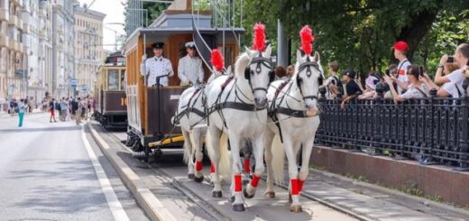 7e4701a4ef41d1b6c92e4c54c35c2d19