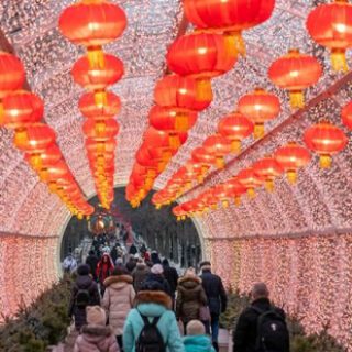 86b9c8588e10c2acf6e9eddbe0f4571d