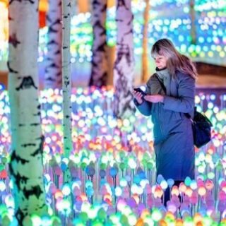 9651d09312e3df019ef2cf43e6e69e48