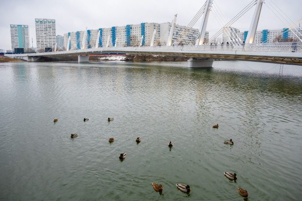 a14f4798b7da4abb3940b292ded1270e