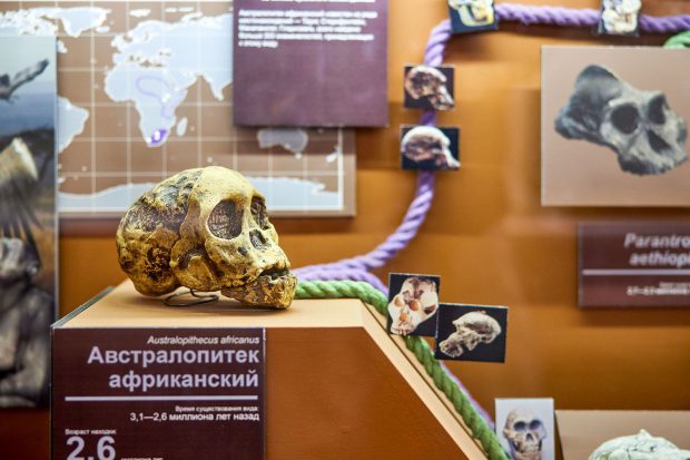 a47d6545b965c778a986ef5553d5a123