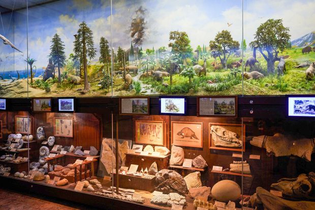 aea68b6a888ffbda398fbe8b96408a29