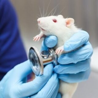 b0ce4c805c2c22dd352b0934ccbf46f6