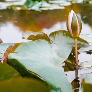 b0ebac57feba1a6ceb59bfa9c5ad9304