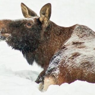 d8bf691dec7448060eee3b13708a3683