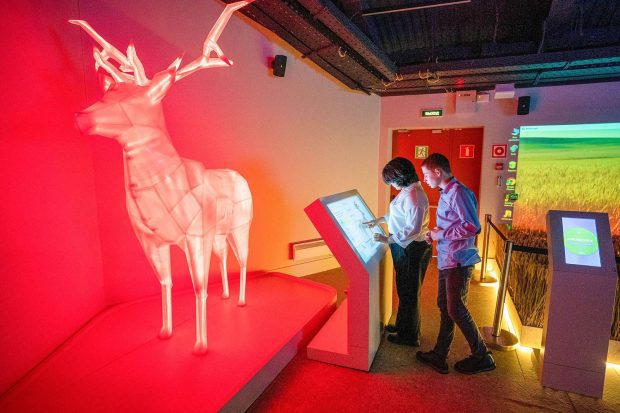 d90cb65e7969a2850460851c11f013c6