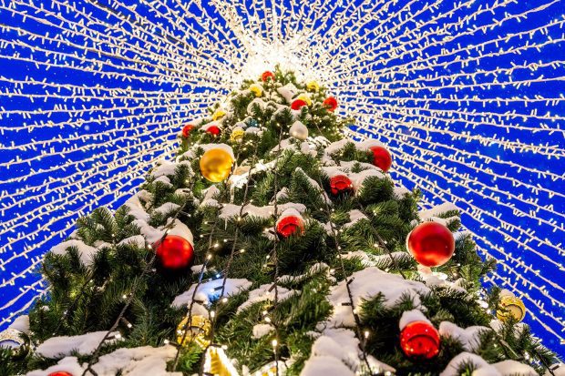 Добрая медведица, сказочные олени и ажурные арки: как украсили парки Москвы 30 dc8f2f9cfeac67e1414e95a50cef45b5