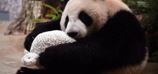 f4da8551eca0e812b7df40be0a474df5