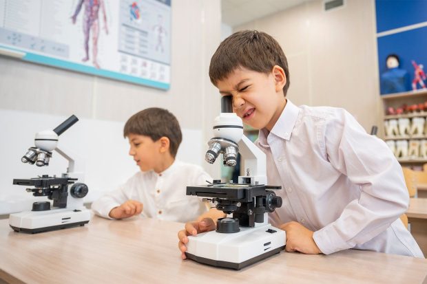 8b43945815a1001d6089ca37db0100c8