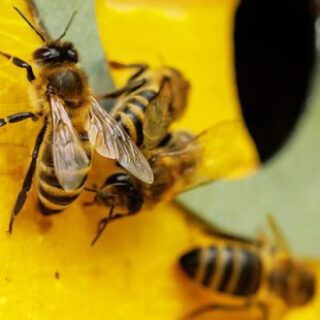 99b18b18112c9c15bd27caa81d2f27d1