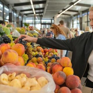 c92a93513eca10b677466d3703f695db