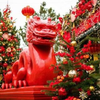 dc26fbdf9c4f7c7a20c475329f6bd7d8