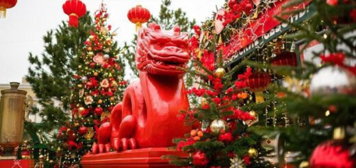 dc26fbdf9c4f7c7a20c475329f6bd7d8