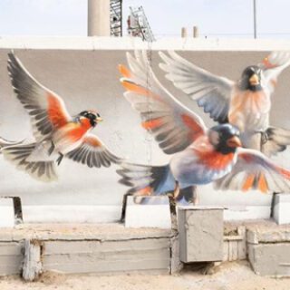 f0a075bb2fc77f6549b51db81ebde842